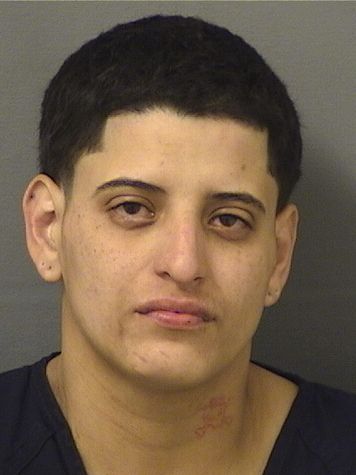  FABIOLA TORREJON DELGADO Results from Palm Beach County Florida for  FABIOLA TORREJON DELGADO