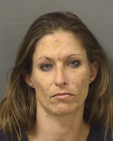  CHRISTINA MARIE BURY Results from Palm Beach County Florida for  CHRISTINA MARIE BURY