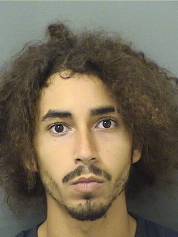  ANDRE M SHANKS Resultados de la busqueda para Palm Beach County Florida para  ANDRE M SHANKS