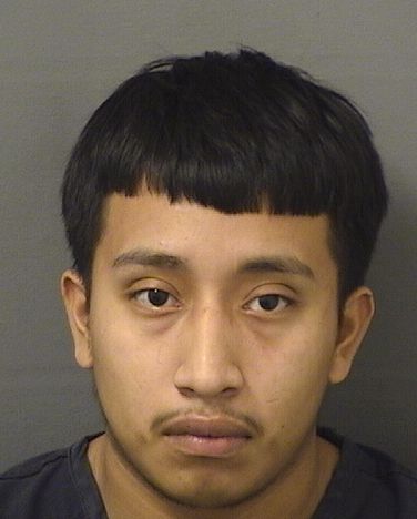 FREDDY MARTINEZ Results from Palm Beach County Florida for FREDDY MARTINEZ FREDDY MARTINEZ Results from Palm Beach County Florida for FREDDY MARTINEZ