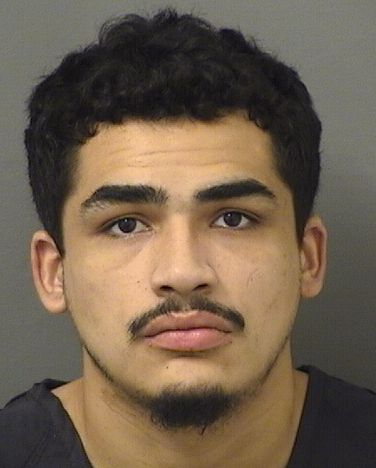  JASON LUIS GONZALEZ Results from Palm Beach County Florida for  JASON LUIS GONZALEZ