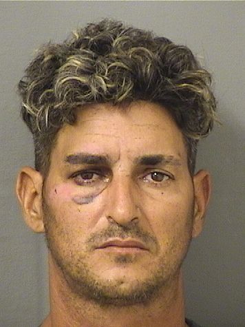  RAIDEL FERNANDEZMARTIN Resultados de la busqueda para Palm Beach County Florida para  RAIDEL FERNANDEZMARTIN