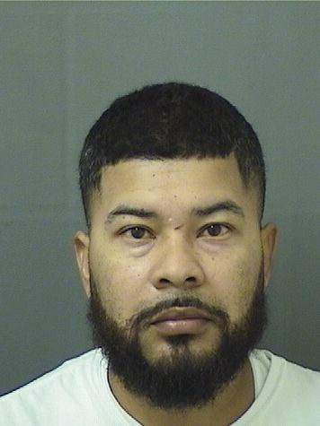  ANDY ALMENDAREZ Results from Palm Beach County Florida for  ANDY ALMENDAREZ