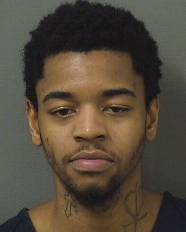  COURNILIUS GISSENDANNER Results from Palm Beach County Florida for  COURNILIUS GISSENDANNER