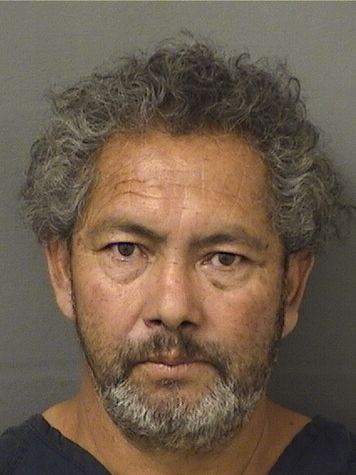  CARLOS HUMBERTO INESTROZAFLORES Results from Palm Beach County Florida for  CARLOS HUMBERTO INESTROZAFLORES