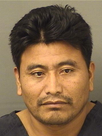  HERMINIO PEREZPEREZ Results from Palm Beach County Florida for  HERMINIO PEREZPEREZ