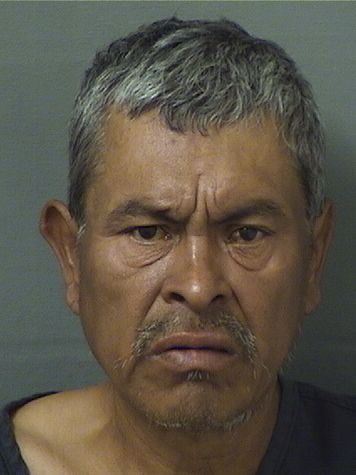  RICARDO DEQUINO Resultados de la busqueda para Palm Beach County Florida para  RICARDO DEQUINO