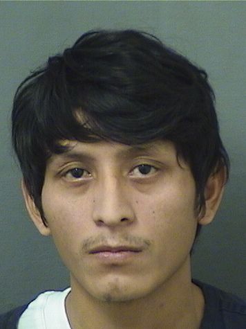  JEOVANY MENDEZMALDONADO Resultados de la busqueda para Palm Beach County Florida para  JEOVANY MENDEZMALDONADO