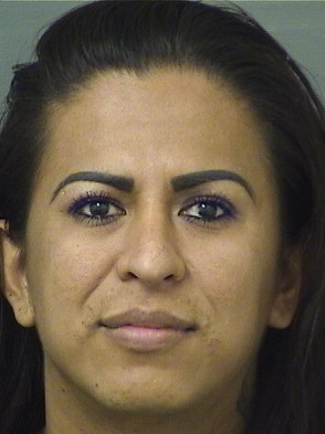  CARLOS ALEXANDER MENDOZAQUIRERIO Results from Palm Beach County Florida for  CARLOS ALEXANDER MENDOZAQUIRERIO