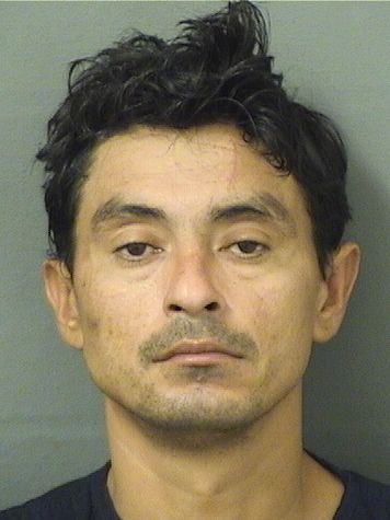  CRISTIAN JOSE GONZALEZ Results from Palm Beach County Florida for  CRISTIAN JOSE GONZALEZ