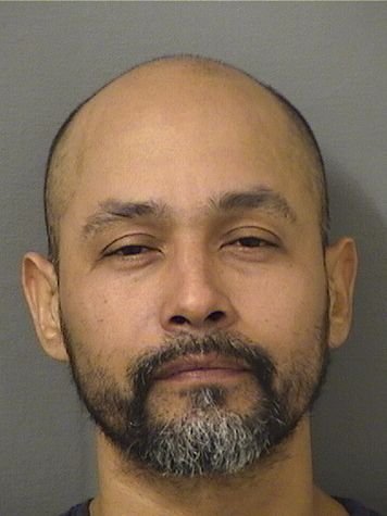  LUIS EDUARDO HERNANDEZ Results from Palm Beach County Florida for  LUIS EDUARDO HERNANDEZ