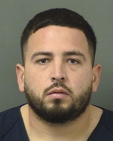  STEFFANO GIORDANO BRITOARGUETA Results from Palm Beach County Florida for  STEFFANO GIORDANO BRITOARGUETA