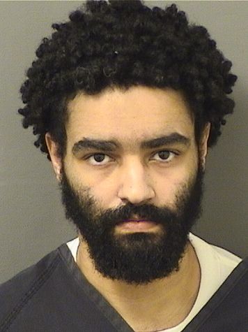  MICHAEL DARREN RODRIGUEZ Results from Palm Beach County Florida for  MICHAEL DARREN RODRIGUEZ