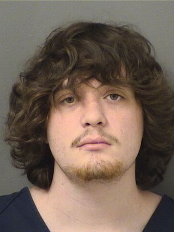  NIKOLOS HENDRIC RODRIGUEZ Results from Palm Beach County Florida for  NIKOLOS HENDRIC RODRIGUEZ