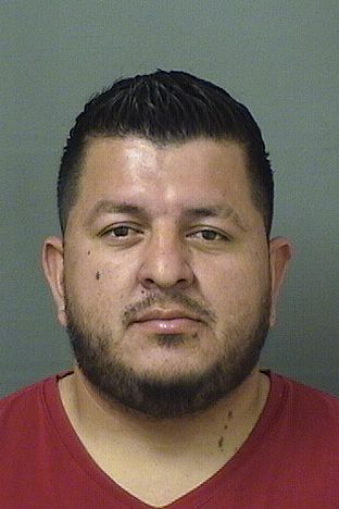  CARLOS ESCOBAR Results from Palm Beach County Florida for  CARLOS ESCOBAR