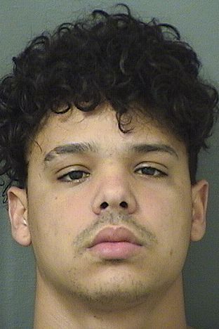  CHELSON HERIBERTO FONTAINAHERNANDEZ Results from Palm Beach County Florida for  CHELSON HERIBERTO FONTAINAHERNANDEZ