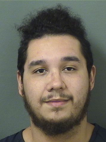  ENRIQUE ESTRADA Results from Palm Beach County Florida for  ENRIQUE ESTRADA