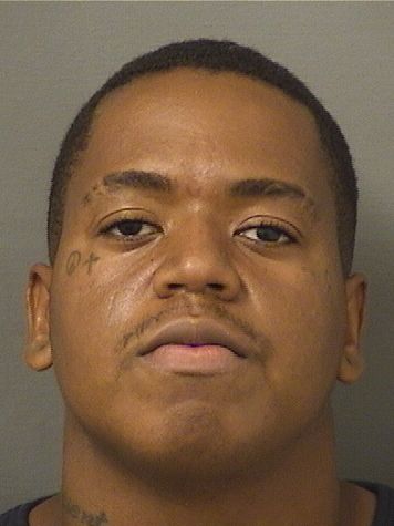  COURTNEY BRYAN ANDERSON Results from Palm Beach County Florida for  COURTNEY BRYAN ANDERSON