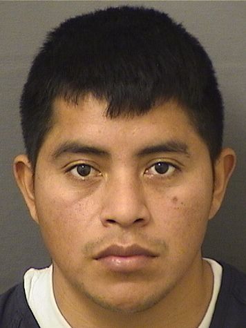  JOSE FRANCISCO VAILLUAX Results from Palm Beach County Florida for  JOSE FRANCISCO VAILLUAX