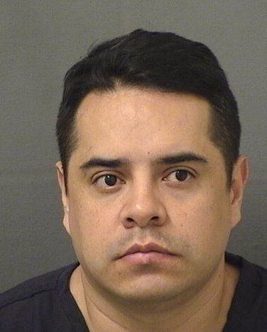 JEFERSON ALFREDO SANCHEZSILVA Results from Palm Beach County Florida for  JEFERSON ALFREDO SANCHEZSILVA  JEFERSON ALFREDO SANCHEZSILVA Results from Palm Beach County Florida for  JEFERSON ALFREDO SANCHEZSILVA