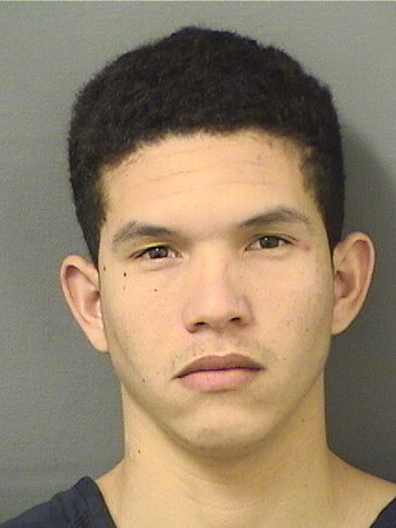  SLEITEY PARRAHENRIQUEZ Results from Palm Beach County Florida for  SLEITEY PARRAHENRIQUEZ