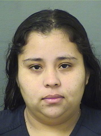  MARIELA ALFAROCANALES Results from Palm Beach County Florida for  MARIELA ALFAROCANALES