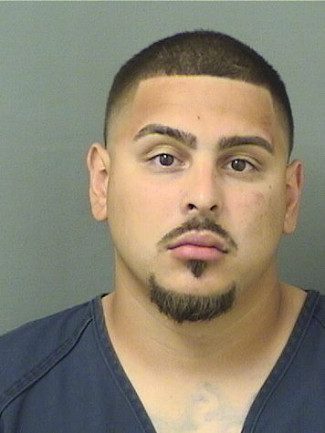  FRANCISCOENRIQUE FERNANDEZ Results from Palm Beach County Florida for  FRANCISCOENRIQUE FERNANDEZ