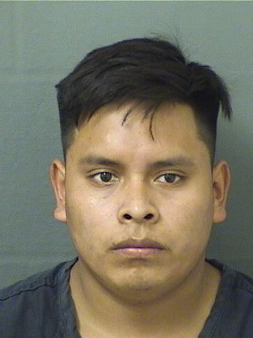  SELVIN OLEGARIO DIAZPEREZ Results from Palm Beach County Florida for  SELVIN OLEGARIO DIAZPEREZ