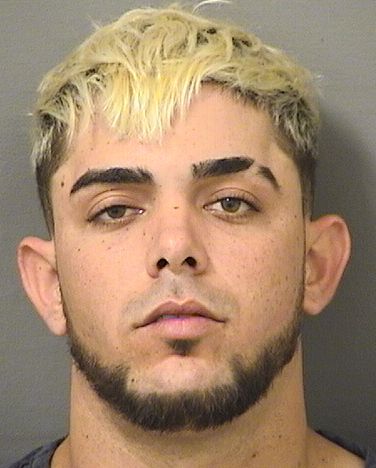  YOANDY GONZALEZRAMIREZ Results from Palm Beach County Florida for  YOANDY GONZALEZRAMIREZ