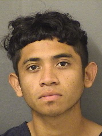  SANTOS EDENILSON HERNANDEZPEREZ Results from Palm Beach County Florida for  SANTOS EDENILSON HERNANDEZPEREZ