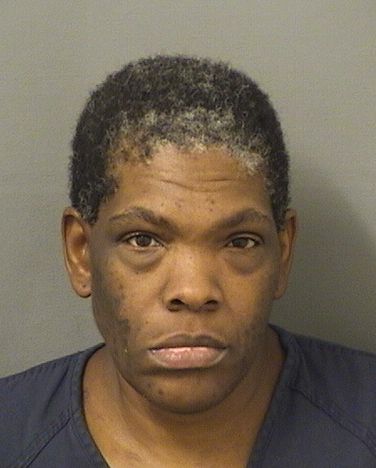  AISHA F LEWIS Results from Palm Beach County Florida for  AISHA F LEWIS