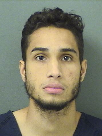  BRANDO N MITCHELL Results from Palm Beach County Florida for  BRANDO N MITCHELL