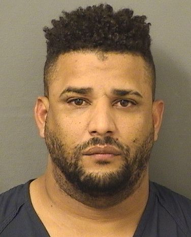  ANDY MANUEL GOMEZGIL Results from Palm Beach County Florida for  ANDY MANUEL GOMEZGIL