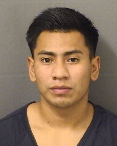  MANUEL DEJESUS ROJASCAJBON Results from Palm Beach County Florida for  MANUEL DEJESUS ROJASCAJBON