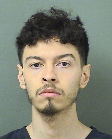  NICHOLAS DESALLES MILEI Results from Palm Beach County Florida for  NICHOLAS DESALLES MILEI