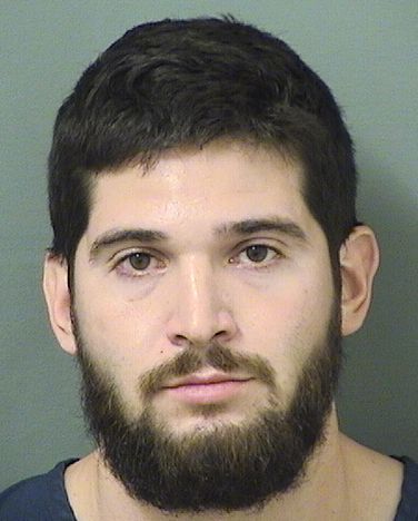  IVAN PICCIONI Results from Palm Beach County Florida for  IVAN PICCIONI