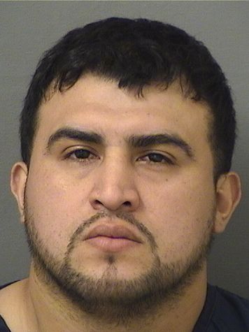  GERSON ANCAVALDIVIA Results from Palm Beach County Florida for  GERSON ANCAVALDIVIA