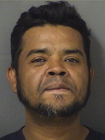  YONY GUADALUPE ROSALESPERALTA Resultados de la busqueda para Palm Beach County Florida para  YONY GUADALUPE ROSALESPERALTA