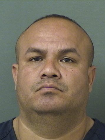 ARLINGTON FABRICIO FIGUEROAMATUTE Results from Palm Beach County Florida for ARLINGTON FABRICIO FIGUEROAMATUTE ARLINGTON FABRICIO FIGUEROAMATUTE Results from Palm Beach County Florida for ARLINGTON FABRICIO FIGUEROAMATUTE