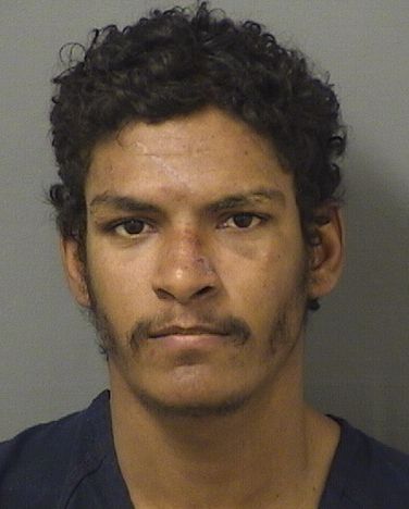  YELIAN ACOSTACARRASCO Results from Palm Beach County Florida for  YELIAN ACOSTACARRASCO