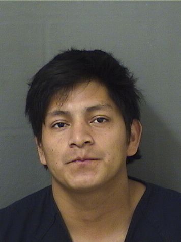  MARCO ANTONIO MENDEZLOPEZ Results from Palm Beach County Florida for  MARCO ANTONIO MENDEZLOPEZ