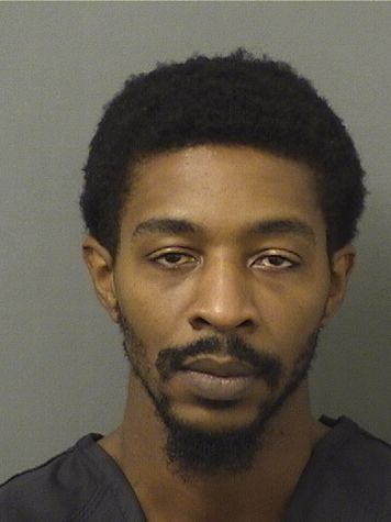  MARK JOSEPH BELLINGER Results from Palm Beach County Florida for  MARK JOSEPH BELLINGER