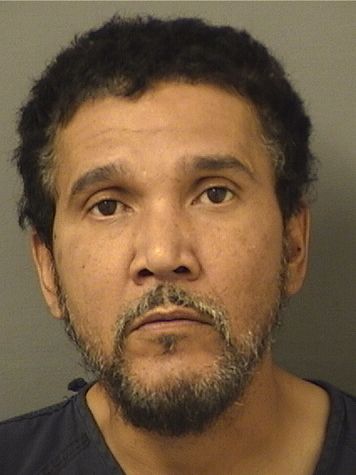  YOANIS NORIEGADIAZ Results from Palm Beach County Florida for  YOANIS NORIEGADIAZ