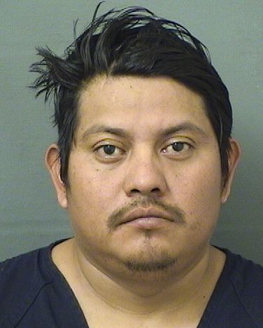  ISRAEL LOPEZVELASQUEZ Results from Palm Beach County Florida for  ISRAEL LOPEZVELASQUEZ