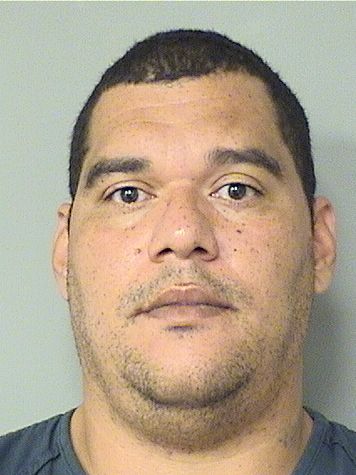  EDWIN PENA Results from Palm Beach County Florida for  EDWIN PENA