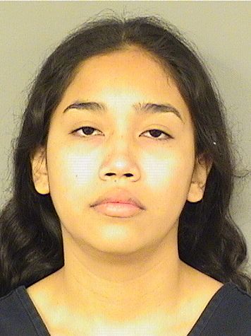  KAREN UGARTEECHEGARAY Results from Palm Beach County Florida for  KAREN UGARTEECHEGARAY