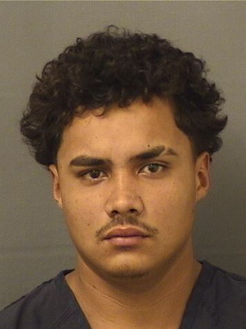  NELSON SANCHEZ Results from Palm Beach County Florida for  NELSON SANCHEZ