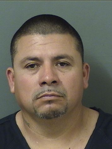  HECTOR RODRIGUEZ Resultados de la busqueda para Palm Beach County Florida para  HECTOR RODRIGUEZ