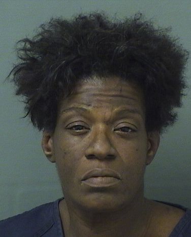  MATIA C DINGLE Photo For  MATIA C DINGLE