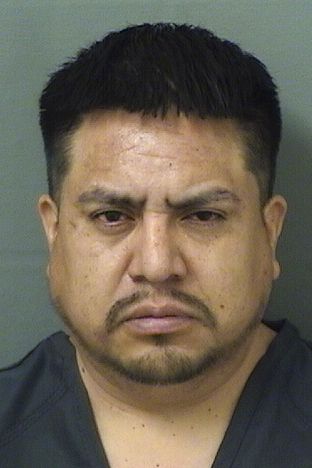  CARLOS HUMBERTO PABLOFELIPE Results from Palm Beach County Florida for  CARLOS HUMBERTO PABLOFELIPE